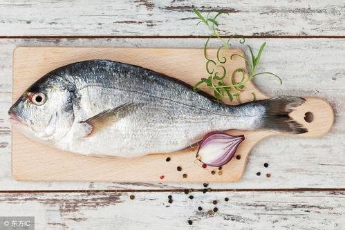 一只鱼在线吃瓜视频,揭秘水下吃瓜界的欢乐时光