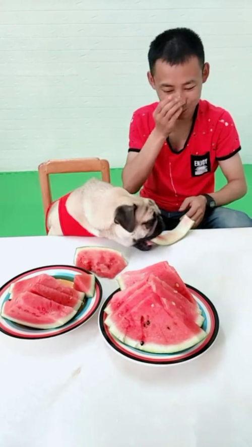 二宝吃瓜视频,揭秘娱乐圈幕后故事