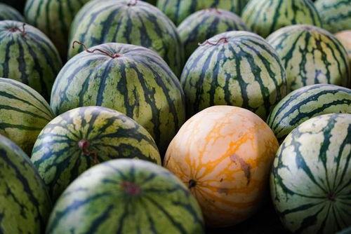 浙江嘉兴吃瓜事件视频